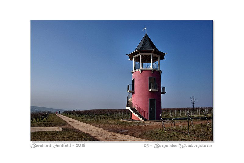 Bernhard Saalfeld - 03 - Burgunder Weinbergsturm_800
